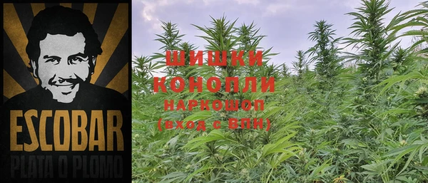каннабис Яровое