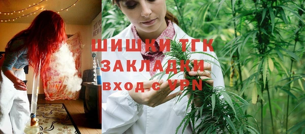 ГАЛЛЮЦИНОГЕННЫЕ ГРИБЫ Иннополис