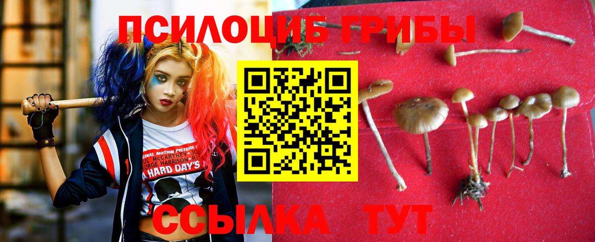 Пыть-Ях  Псилоцибиновые грибы GOLDEN TEACHER  Вход с VPN 